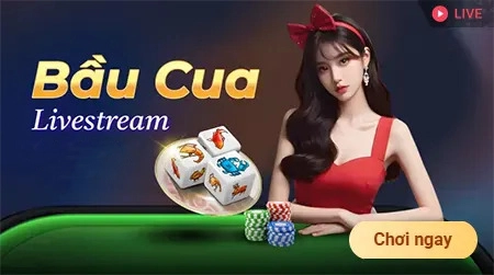 13win sân chơi livestream bầu cua